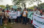 Emiten desalojo para 300 familias en cooperativa El Bosque